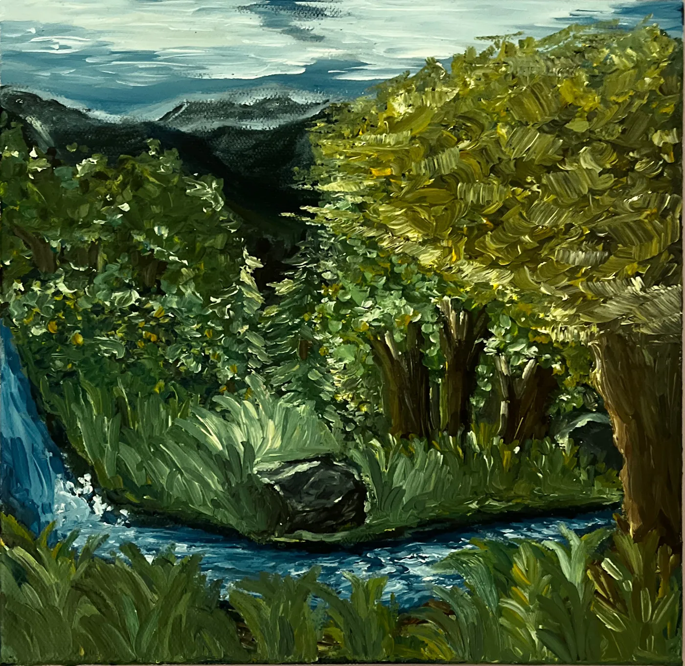 Wilderness Creek