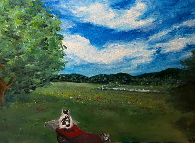 Cat on motorcycle