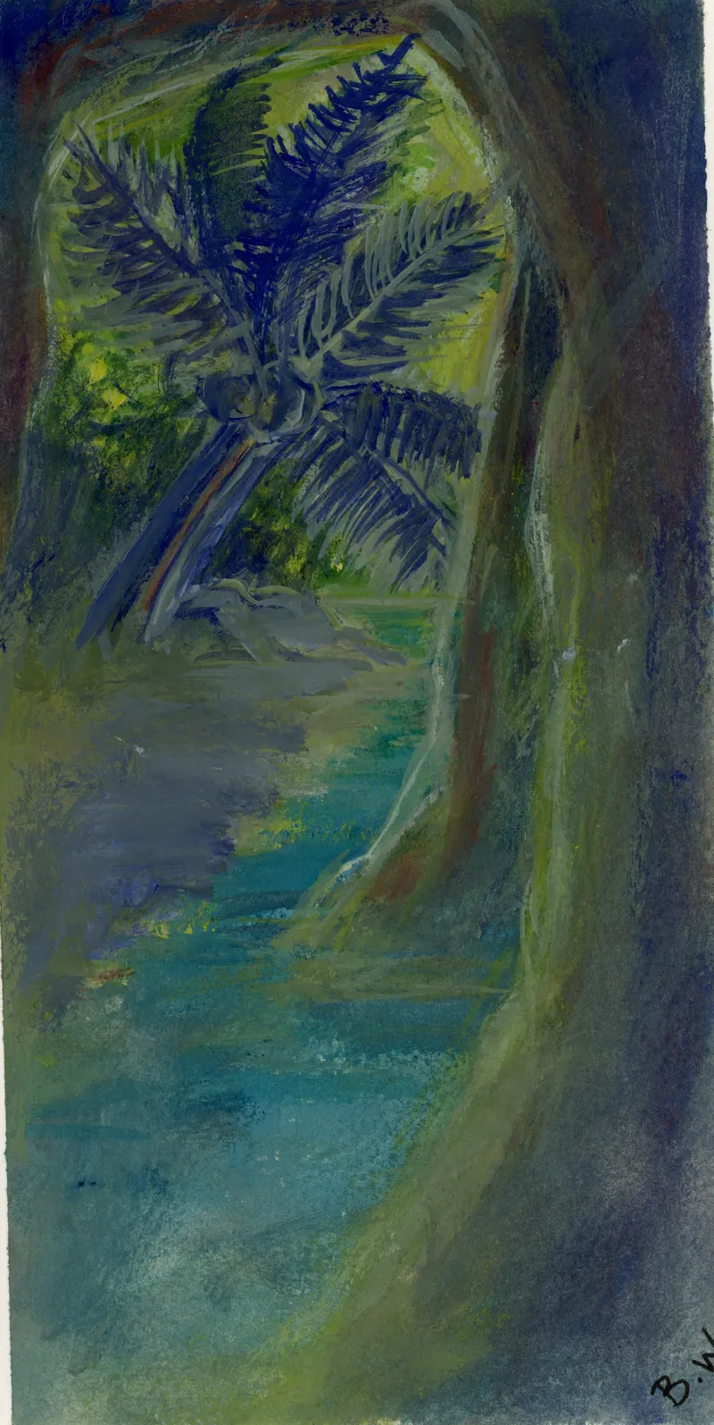 Tropical Cave
