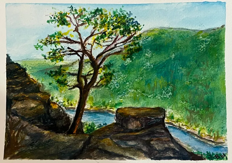 Tree on a cliff