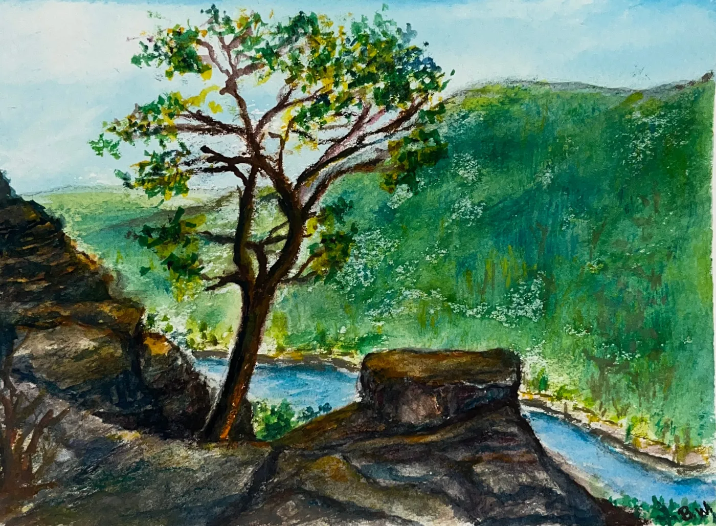 Tree on a cliff, detail 1